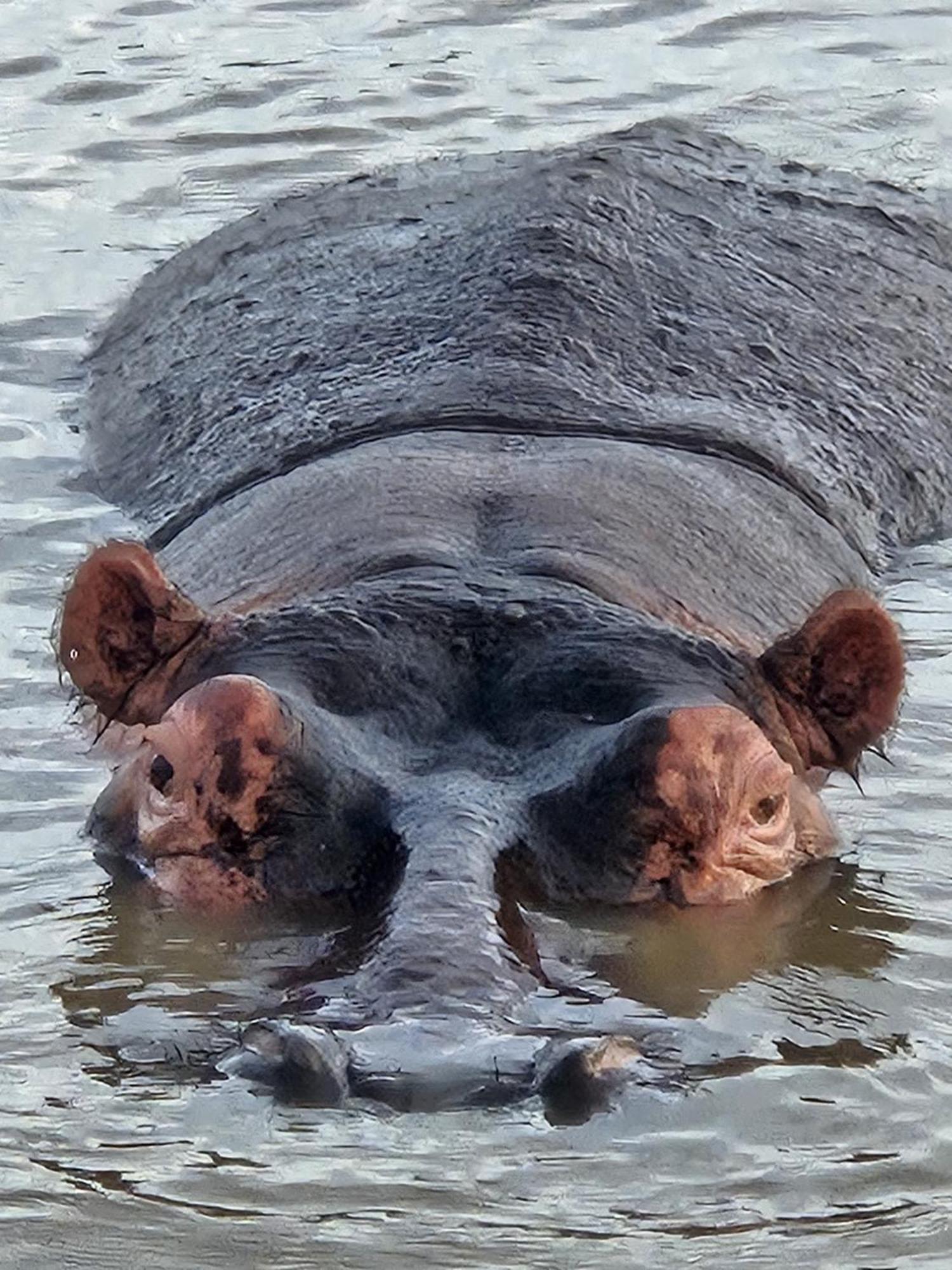 Whalesong Pensión Saint Lucia Estuary Exterior foto